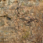 Realtree Xtra